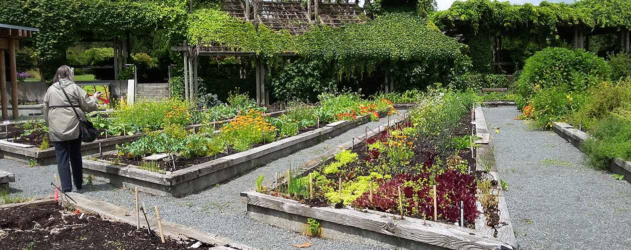 Welcome to the White Rock Garden Club Photo Gallery